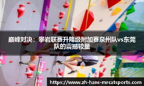 猫先生体育注册登录