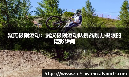 猫先生体育注册登录