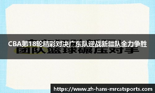 猫先生体育官方网站