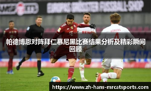 猫先生体育平台